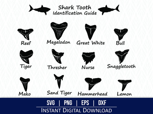 Shark tooth SVG bundle featuring 12 different shark teeth designs, including Megalodon, Great White, Hammerhead, Tiger, and more. Perfect for laser cutting, engraving, and crafting projects. High-quality vector files for ocean-themed DIY projects.