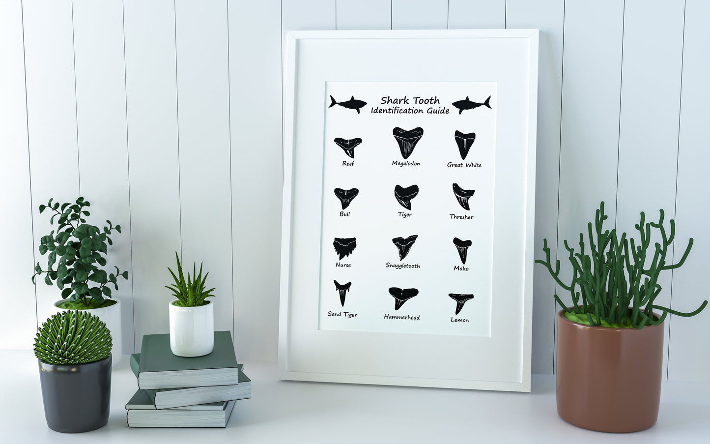 Shark tooth SVG bundle featuring 12 different shark teeth designs, including Megalodon, Great White, Hammerhead, Tiger, and more. Perfect for laser cutting, engraving, and crafting projects. High-quality vector files for ocean-themed DIY projects.