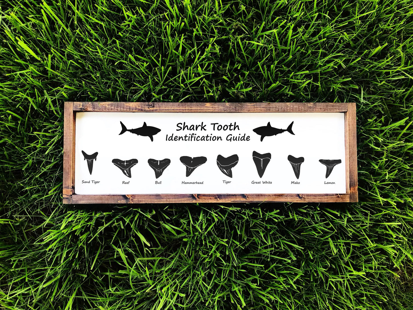 Shark tooth SVG bundle featuring 12 different shark teeth designs, including Megalodon, Great White, Hammerhead, Tiger, and more. Perfect for laser cutting, engraving, and crafting projects. High-quality vector files for ocean-themed DIY projects.