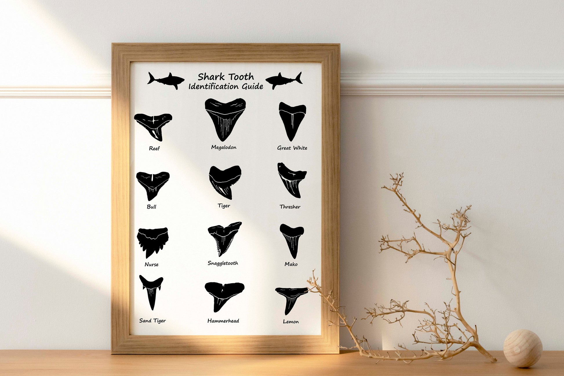 Shark tooth SVG bundle featuring 12 different shark teeth designs, including Megalodon, Great White, Hammerhead, Tiger, and more. Perfect for laser cutting, engraving, and crafting projects. High-quality vector files for ocean-themed DIY projects.