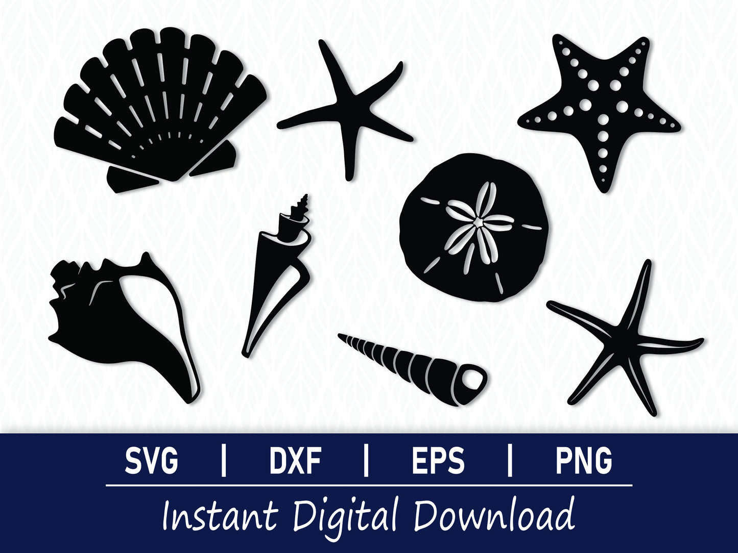 Seashells SVG Bundle