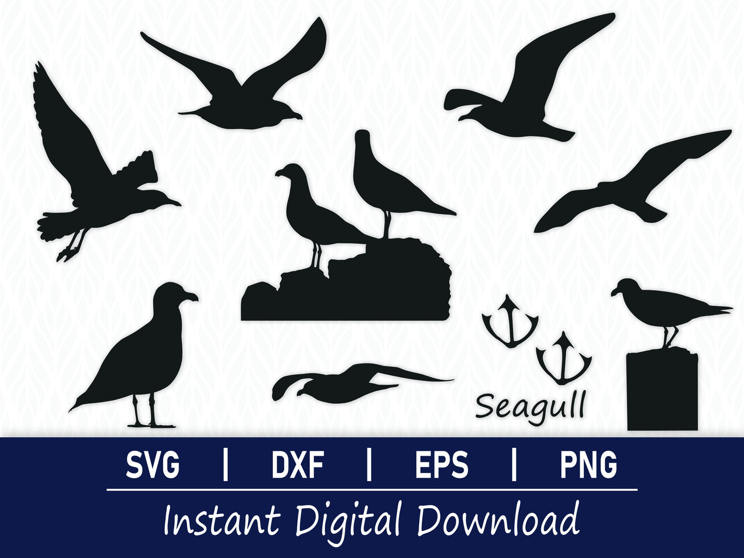 Seagull SVG Bundle