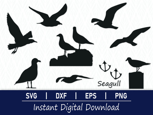 Seagull SVG Bundle