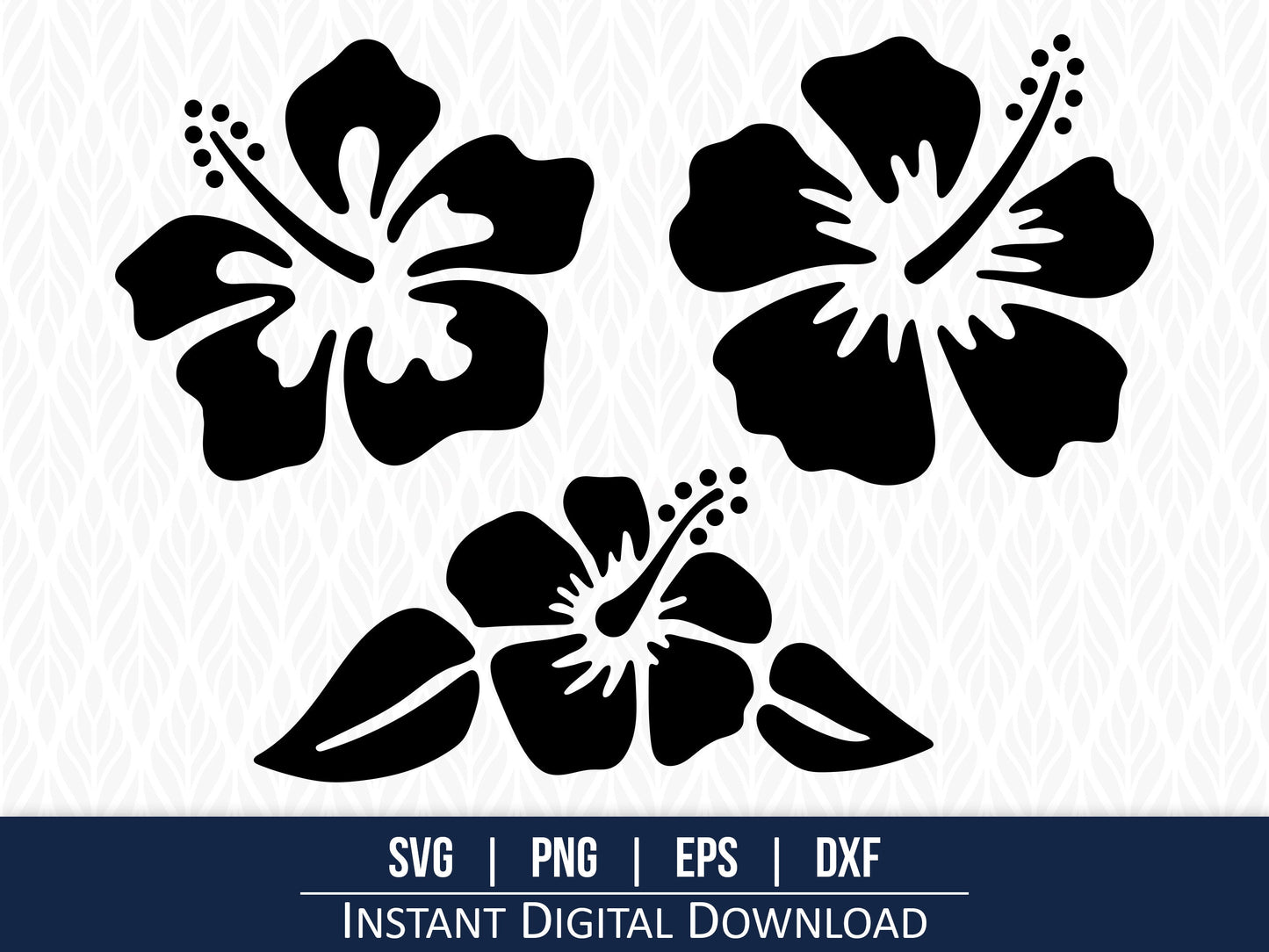 Hibiscus SVG